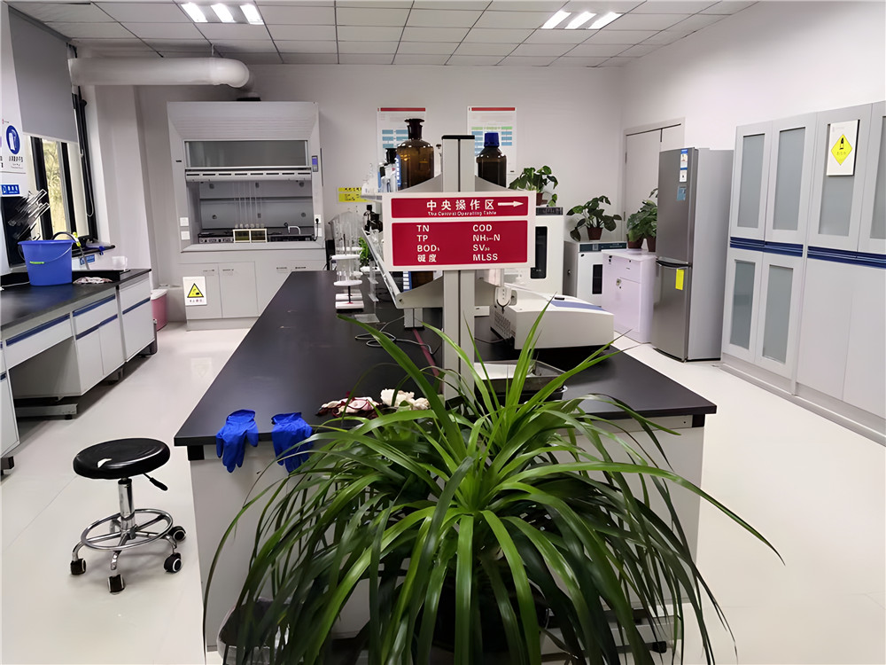 步履坚定,共绘高质量发展新篇章