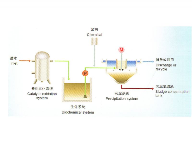 催化剂