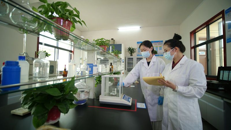 研发展示