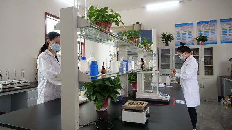 研发展示