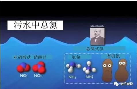 污水厂的总氮的去除(1)725